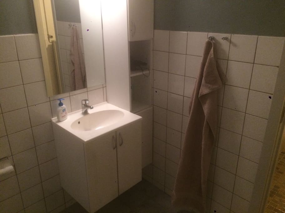 Badeværelse med hårtørre.