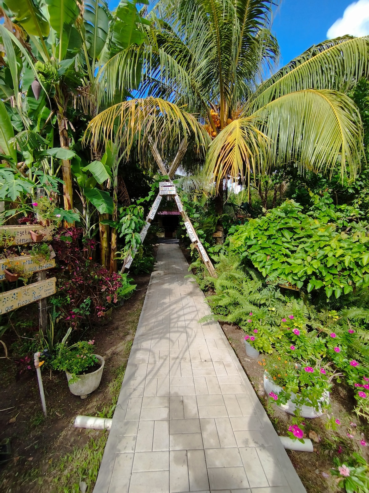 A stone pathway guides through a lush garden filled with tropical plants and vibrant flowers. Palm trees arch overhead, providing natural shade, while decorative pots line the pathway, enhancing the verdant landscape. A wooden ladder is positioned amidst the greenery, adding a rustic touch.