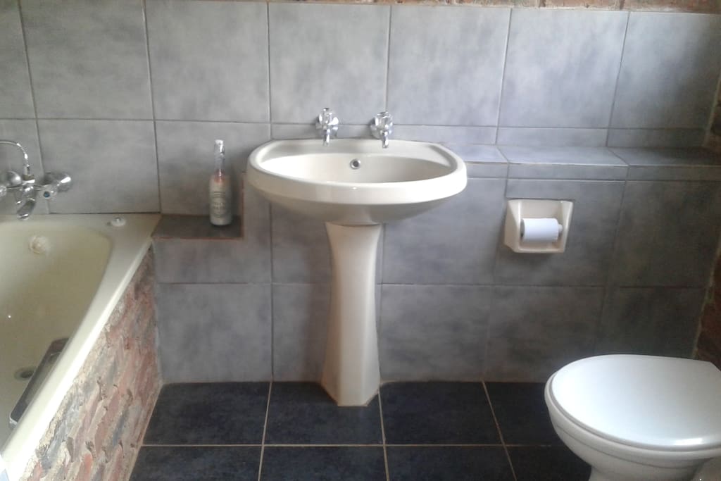 Shower, bath, toilet and basin