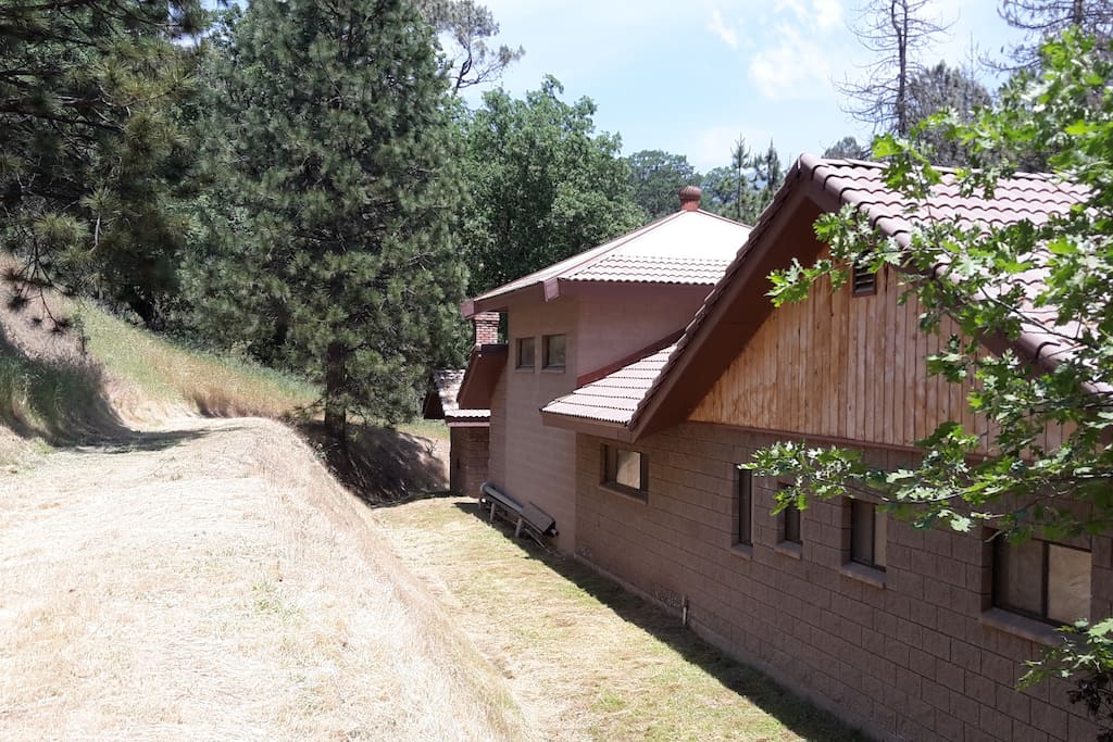 Back of House
