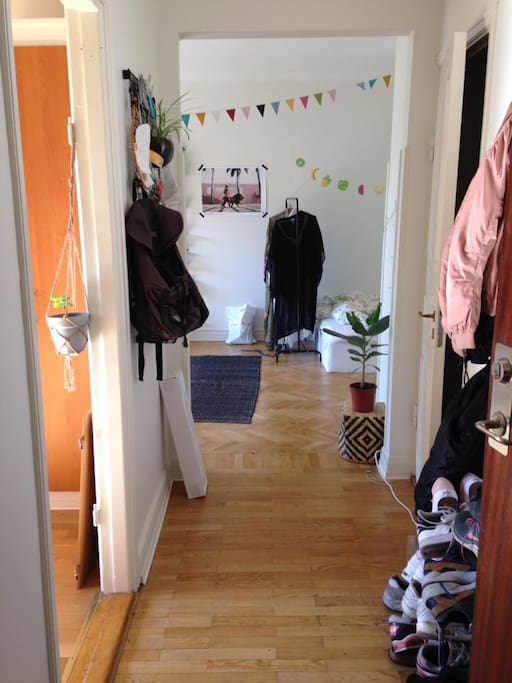 Hallway with kitchen to the left and the bathroom to the right and the room straight ahead