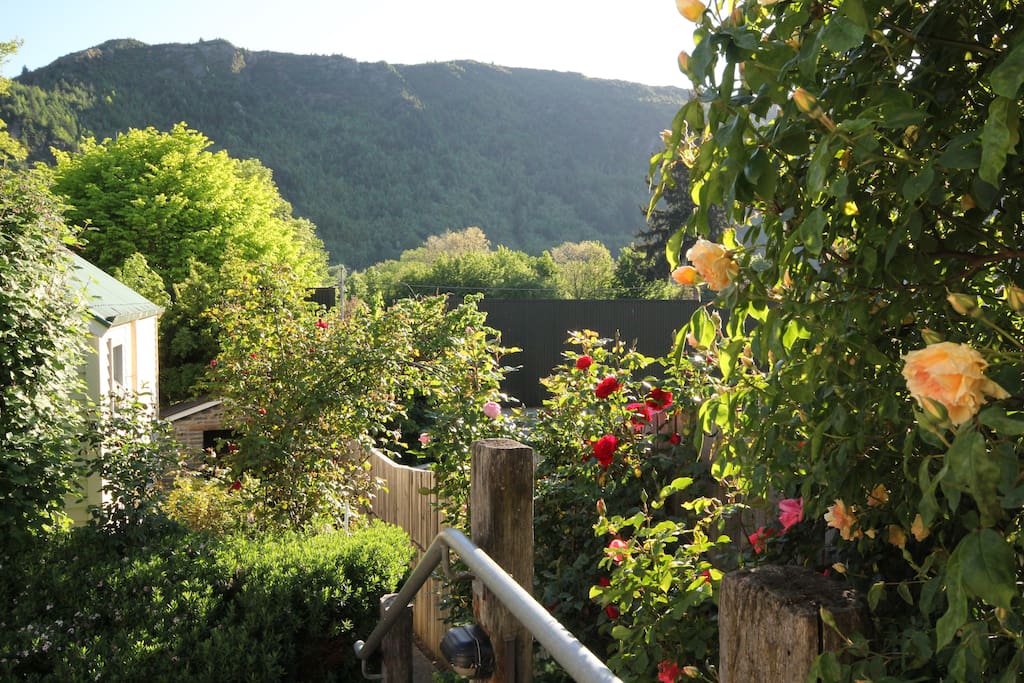 Garden and view