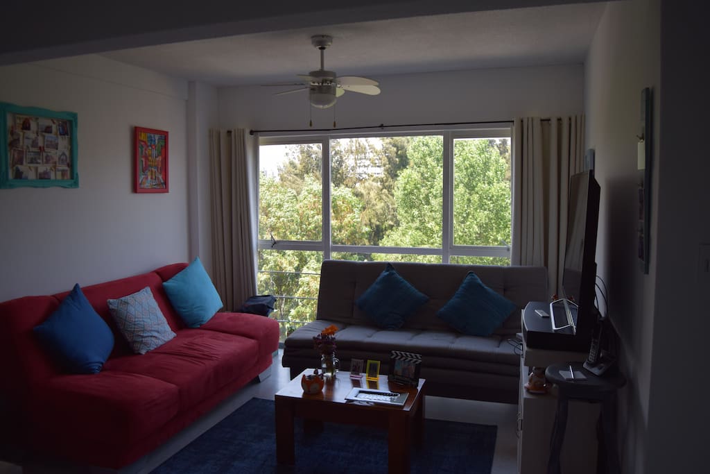 Beautifully decorated and renovated apartment on seventh floor with elevator access