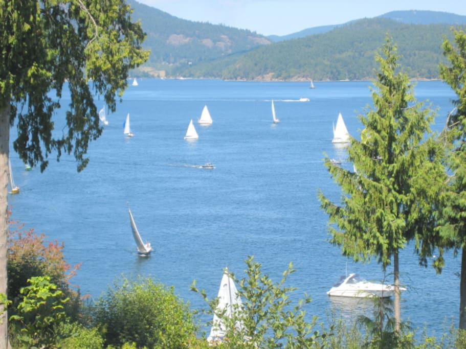 Sailboats, eaagles, and whales