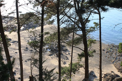Airbnb performant: Dinard apartment T2 for 2 people à Dinard
