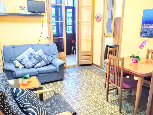 Whole apartment (City Center of Barcelona)