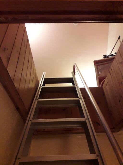 Ladder and widened hatch