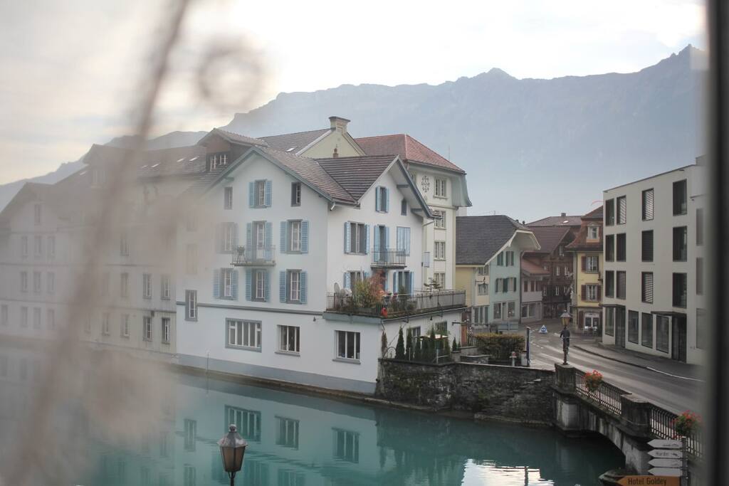 View from your room