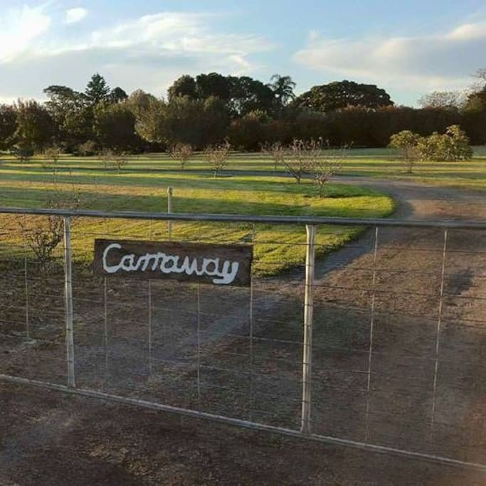 Entry Gate