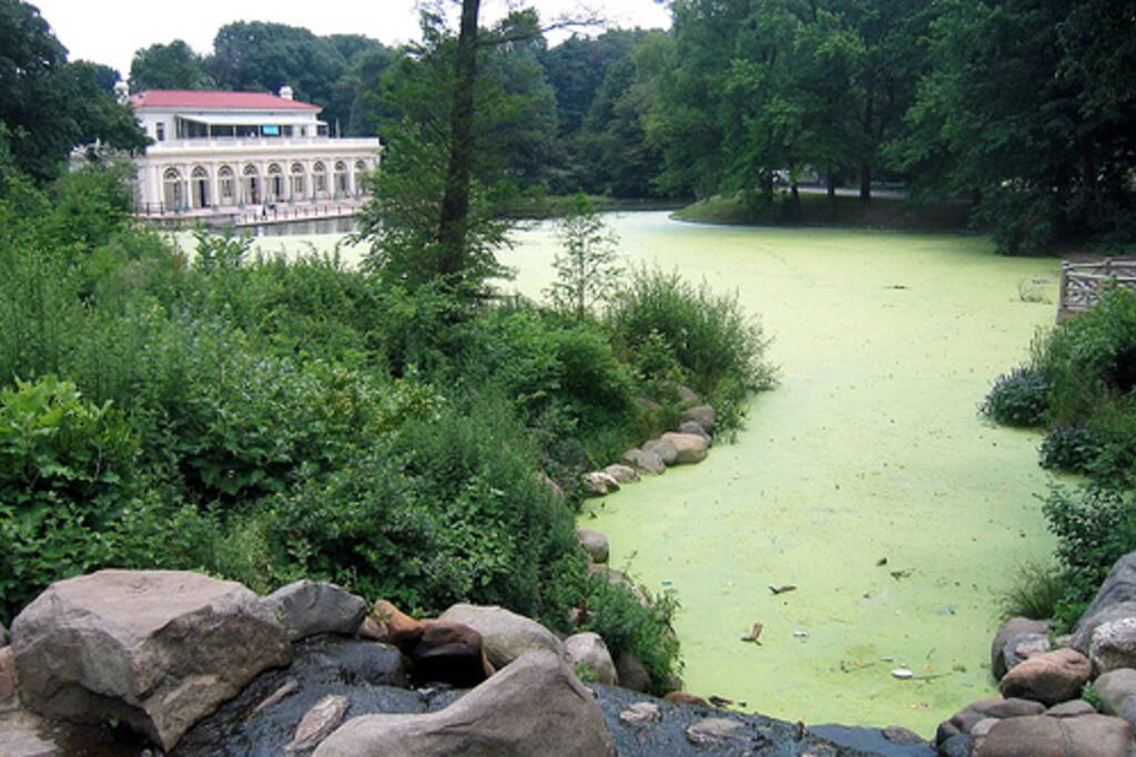Steps from the amazing Prospect Park
