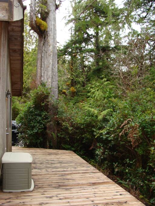 Large Wrap around deck