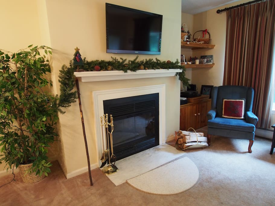 Open living room with wood fireplace