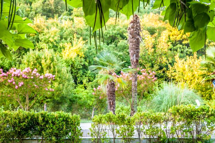Çatalca,istanbul’da müstakil villa gallery image 4