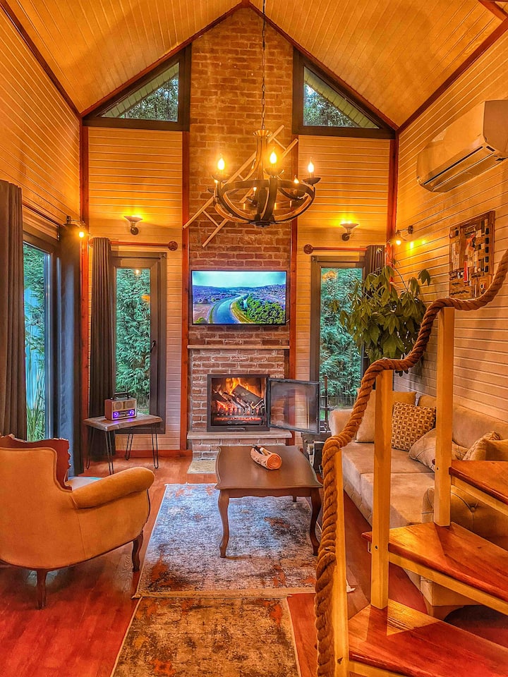 Shared living room image 1