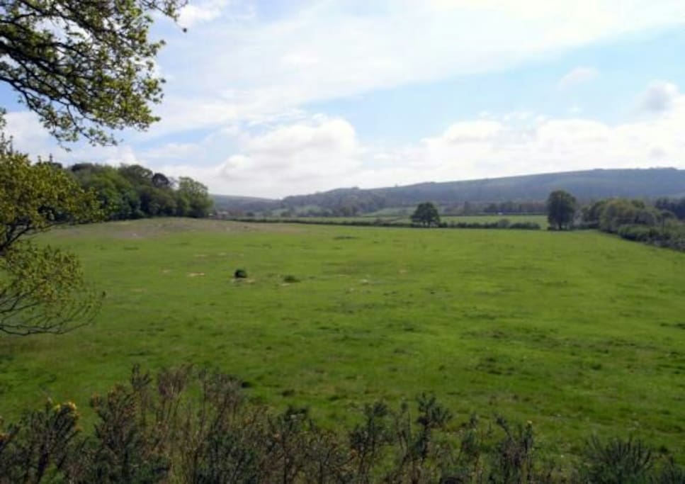 View from the master bedroom