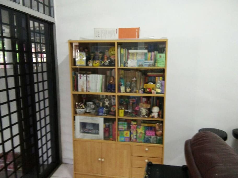 Bookshelf in the living room