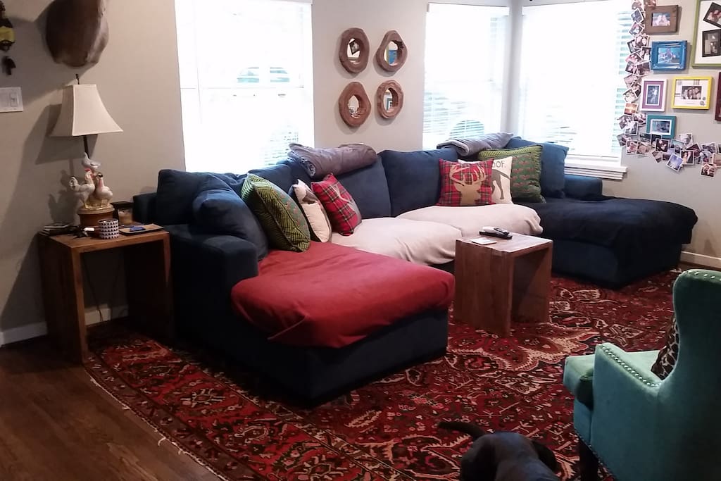 Living room with great light and roomy couch