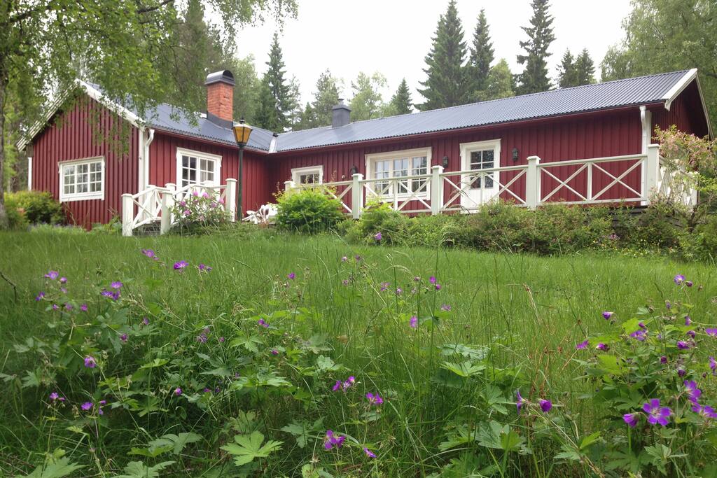 HÖGA KUSTEN: Svensk idyll i skogsbrynet vid vägens slut - en plats att varva ned och koppla av på