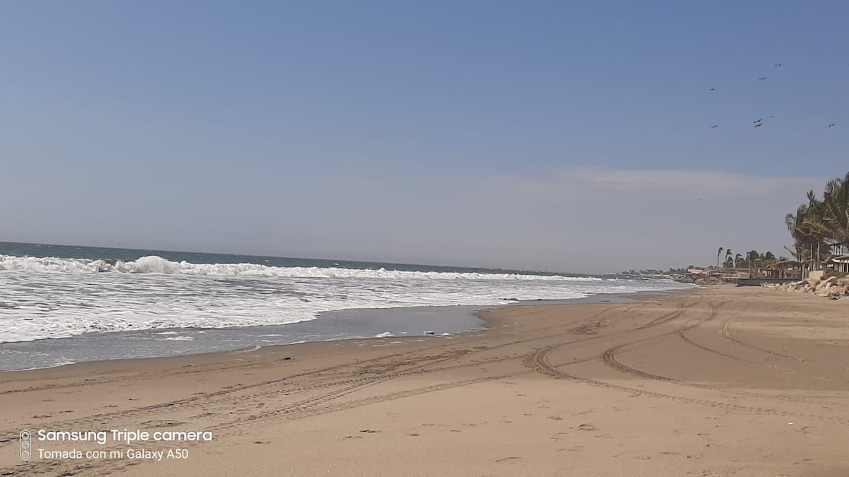 A sandy beach stretches along the shoreline, with gentle waves lapping at the water's edge. The horizon is clear, showcasing a vast sky. Palm trees can be seen in the distance, contributing to the serene coastal atmosphere.