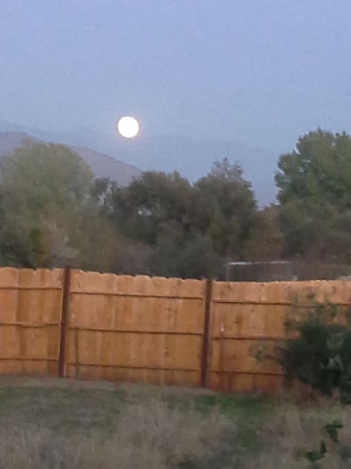 View outside