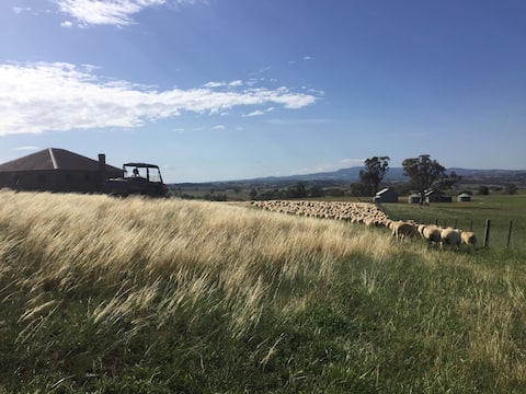 SHEARERS HUTS @ AMAROO