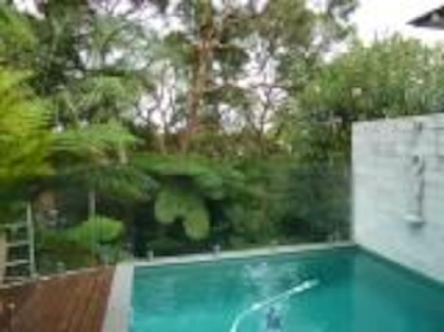 Filtered bush and water views from your pool, beach towels provided