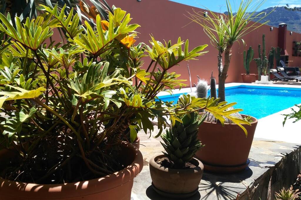 Nature and relax
