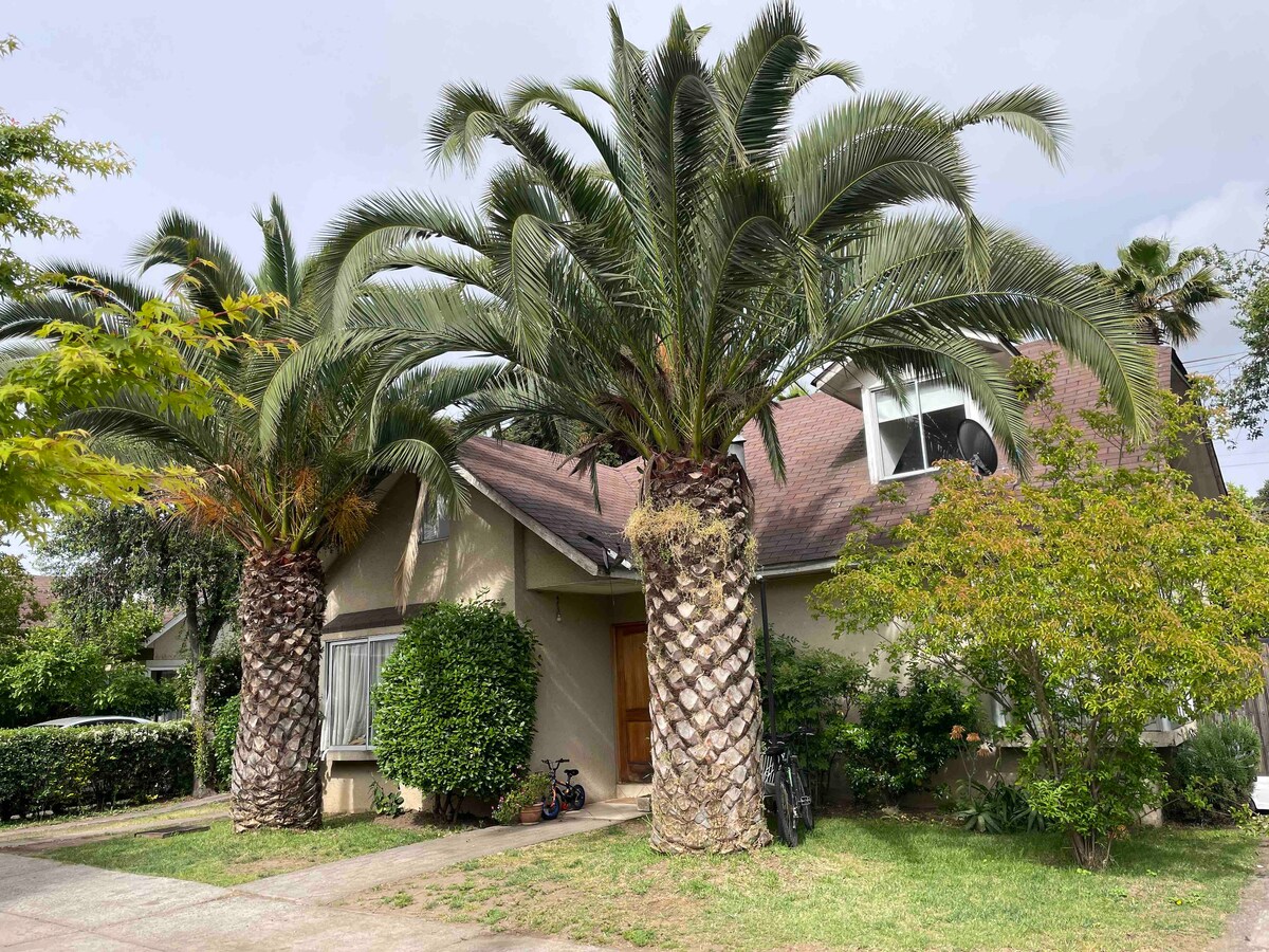 The exterior of a charming residence is framed by two tall palm trees. Lush greenery surrounds the entrance, while a pathway leads to the front door. A bicycle is parked beside the house, adding a sense of homeliness to the scene.