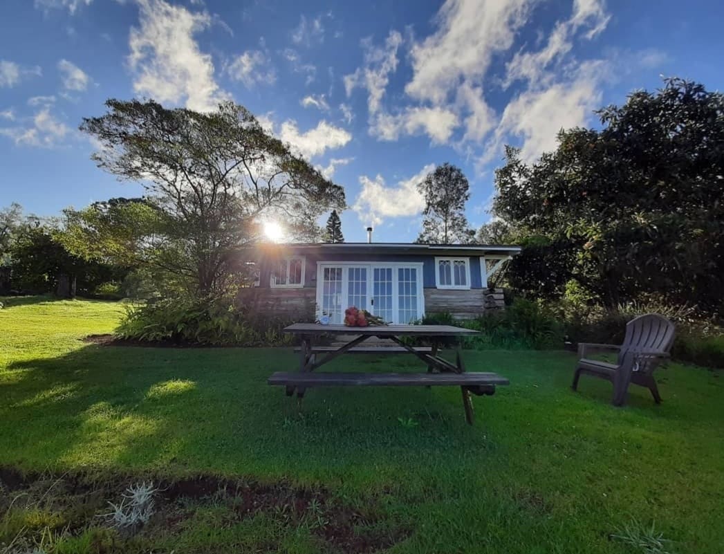 A historic log cabin is situated in a green landscape, surrounded by a variety of native and non-native plants. A wooden picnic table and an Adirondack chair are placed on the lawn, while sunlight filters through the trees, illuminating the cabin's exterior and the sky.