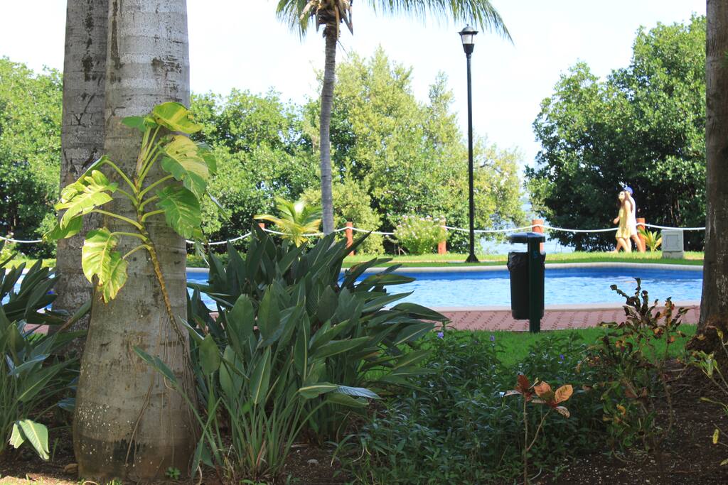 Pool and gardens