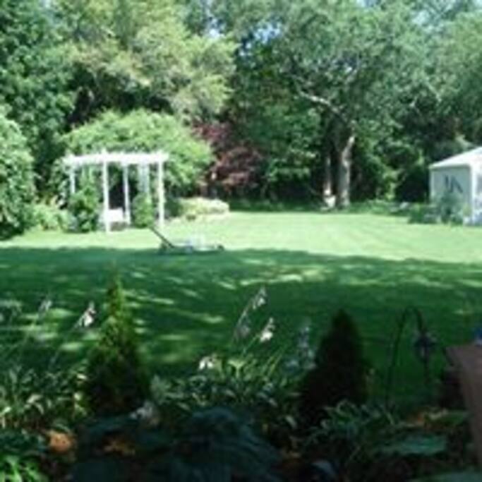 Beautiful back yard for relaxing and reading.