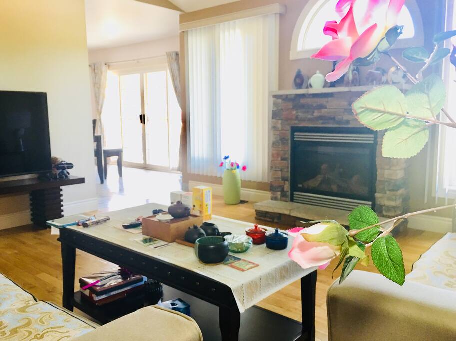 Sun-filled living room ,very comfortable and spacious