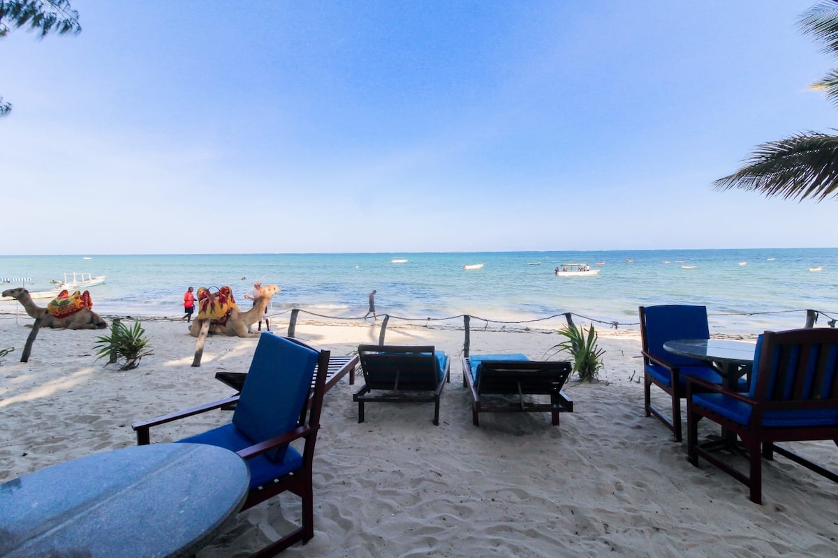 Lounge chairs are positioned on a sandy beach, facing the ocean. Near the shore, camels can be seen with people interacting alongside them. Gentle waves are visible, along with distant boats dotting the horizon, creating a serene coastal scene.