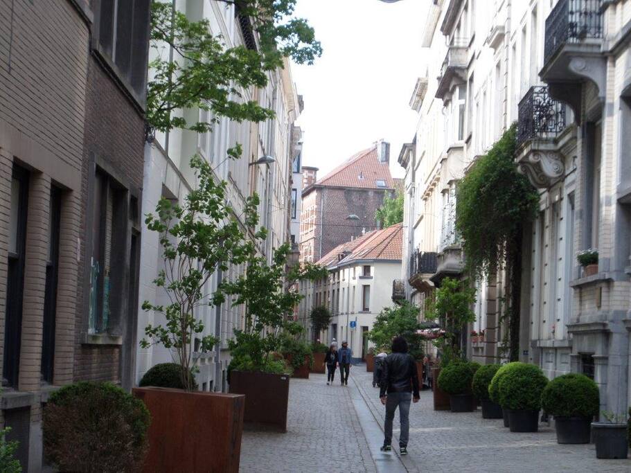 Pedestrial Street