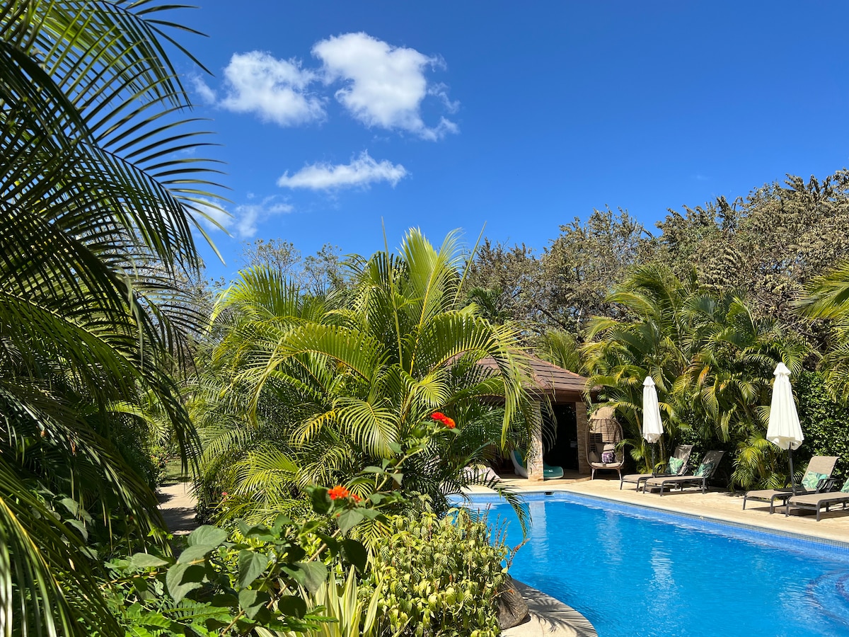 A serene swimming pool surrounded by lush tropical foliage offers a refreshing escape. Two white umbrellas provide shade beside comfortable lounge chairs. The clear blue sky enhances the tranquil atmosphere, while vibrant plants frame the pool area, creating a private and inviting retreat.