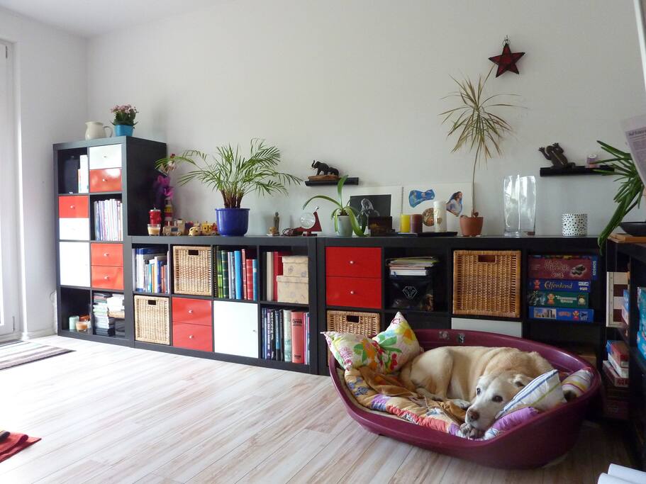 Wohnzimmer-Hund ;-)