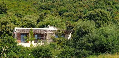 Saleccia Monte A Torra Room, Outdoor Kitchen