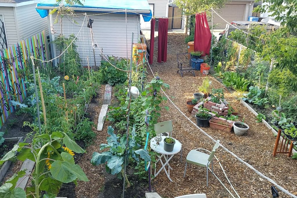 our garden - wow!