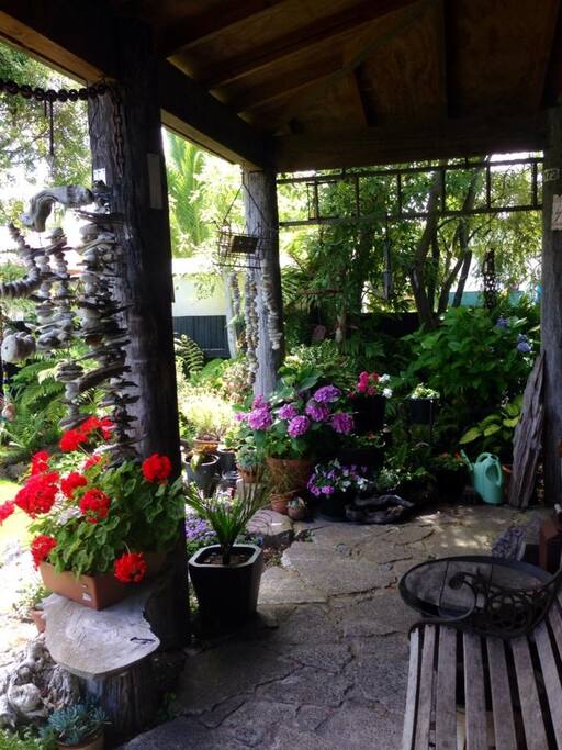 I love gardening and plants,my garden always has something interesting in it.