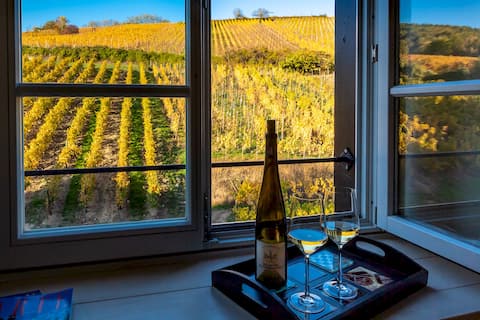 Top Airbnb: Luxury Suite on the 1291 Ramparts & Vineyard View à Riquewihr
