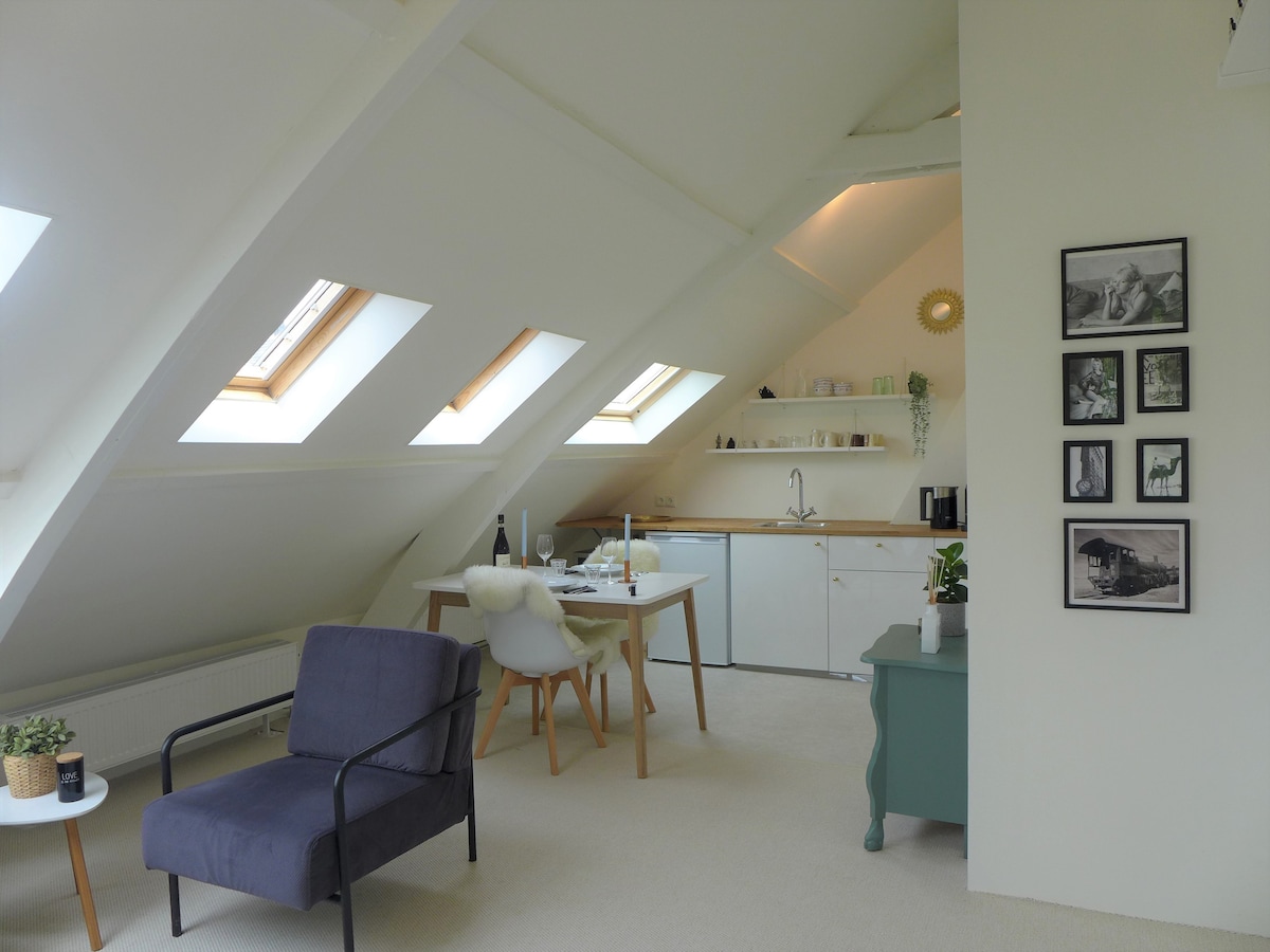 The apartment features a sloped ceiling with several skylights allowing natural light to brighten the space. A small dining area with a table and chairs sits nearby a fully equipped kitchen, while a cozy seating area includes a single armchair. Decorative elements are displayed on shelves and walls.