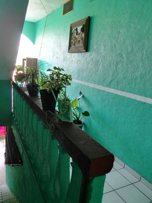 pasillo de ingreso al departamento