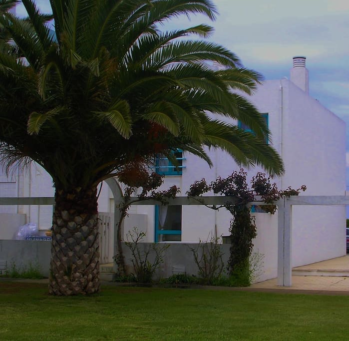 Exterior vista Piscina