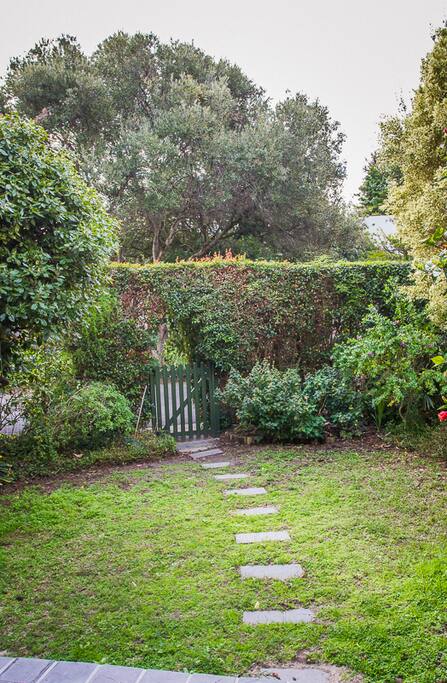 Small enclosed garden