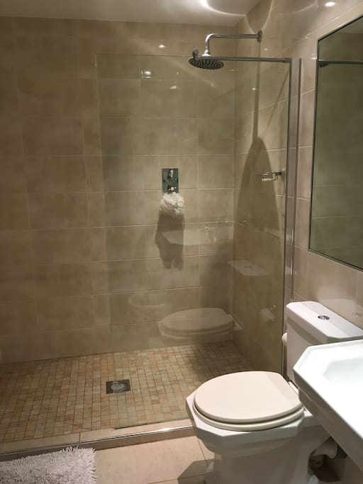 Wet room with rain shower.