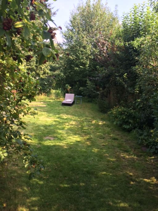 Der Garten