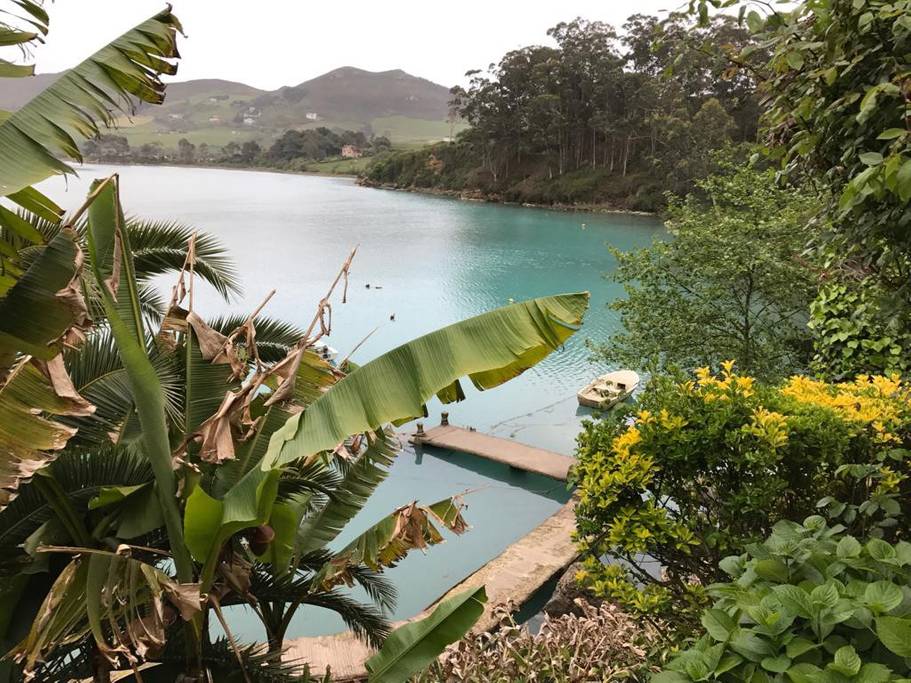 A serene view of a calm body of water, surrounded by lush greenery. A small boat is anchored at a concrete dock, while vibrant plants and trees frame the scene, creating a natural oasis that invites relaxation.