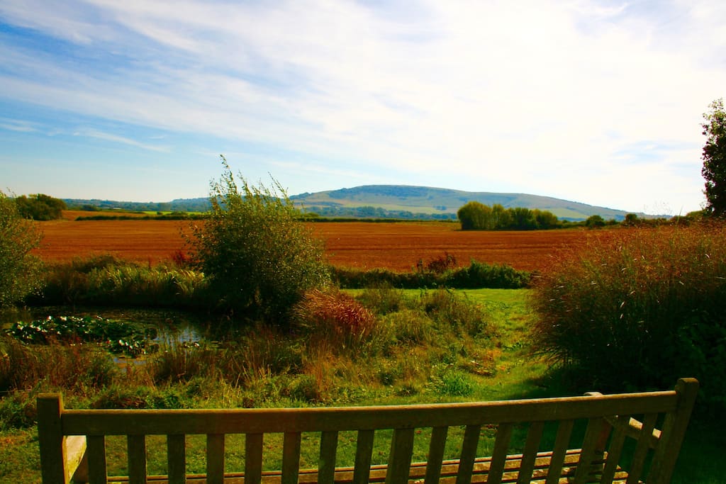 the view from the garden bench