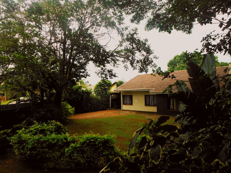 the garden