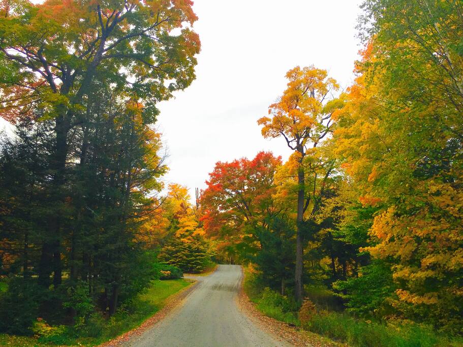Silver Point Drive